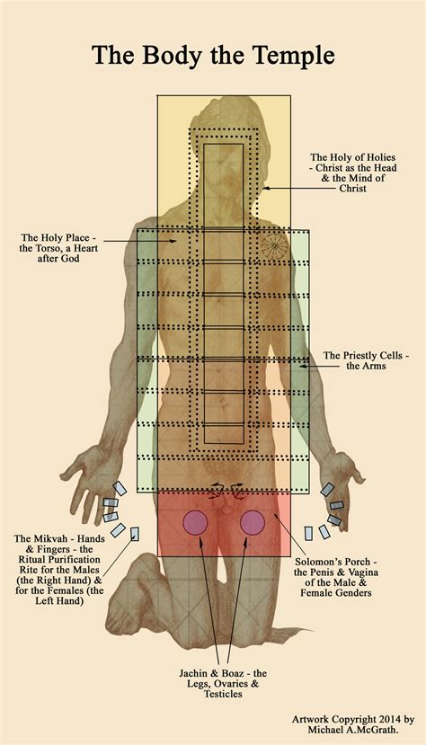 temple human body.